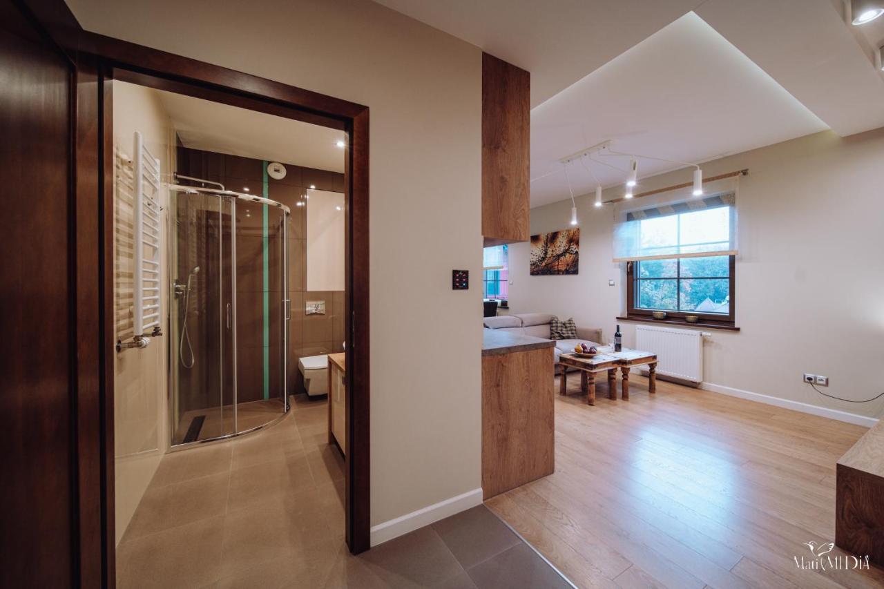 Dolina Wikingow Apartament Oye 13 Шклярська Поремба Екстер'єр фото