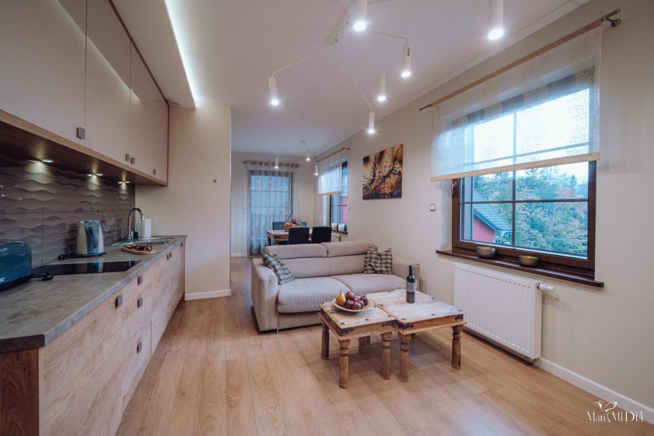 Dolina Wikingow Apartament Oye 13 Шклярська Поремба Екстер'єр фото